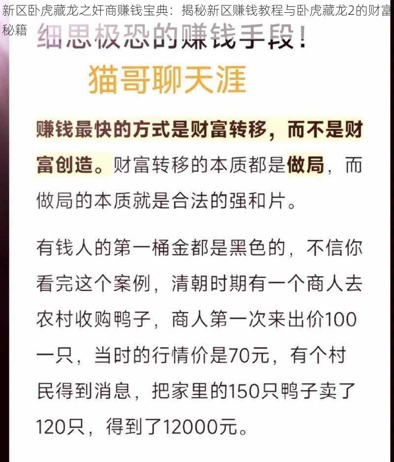 新区卧虎藏龙之奸商赚钱宝典:揭秘新区赚钱教程与卧虎藏龙2的财富秘籍