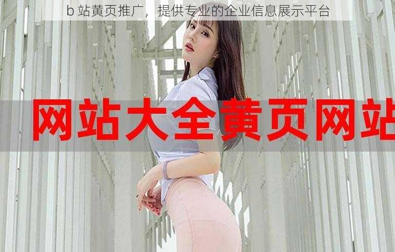 b 站黄页推广,提供专业的企业信息展示平台