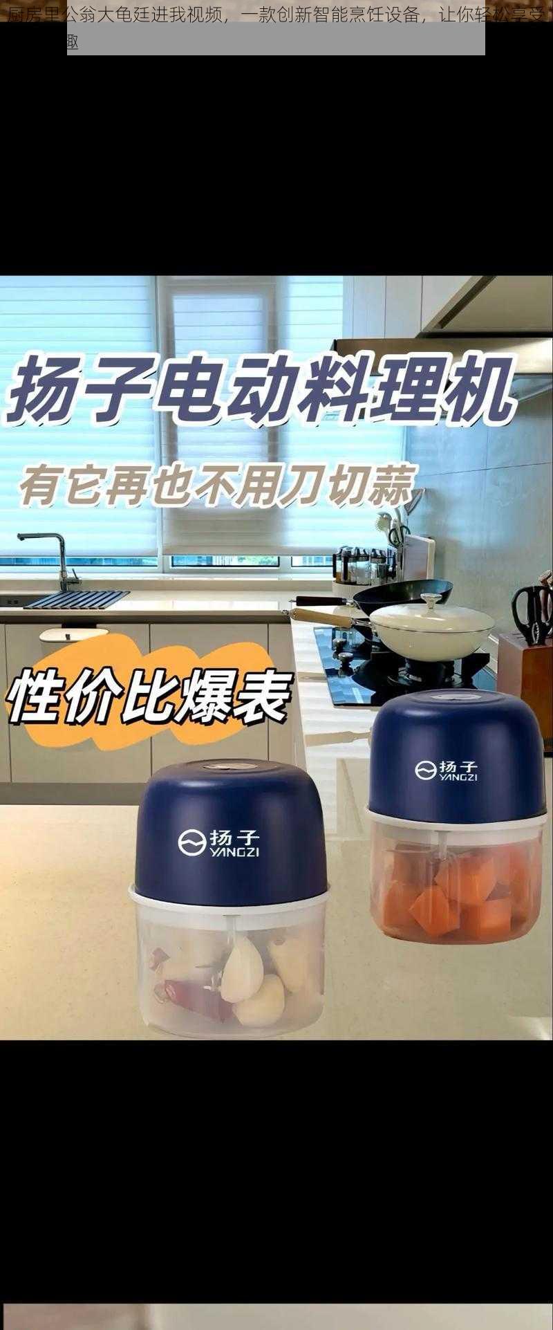 厨房里公翁大龟廷进我视频,一款创新智能烹饪设备,让你轻松享受美食乐趣