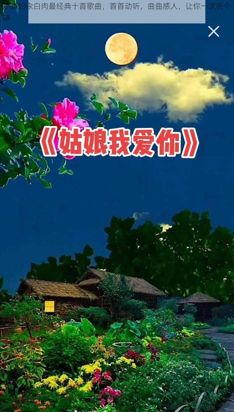 小寡妇汆白肉最经典十首歌曲,首首动听,曲曲感人,让你一次听个够