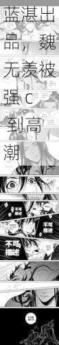 蓝湛出品,魏无羡被强 c 到高潮