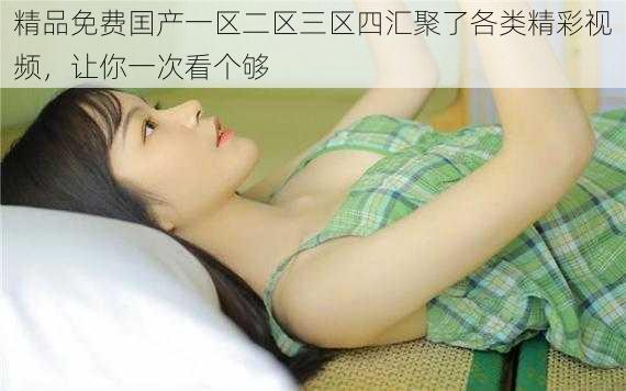 精品免费囯产一区二区三区四汇聚了各类精彩视频,让你一次看个够