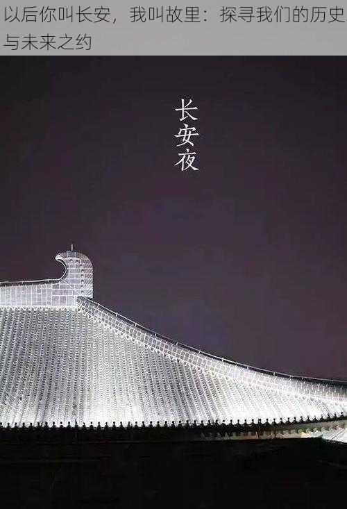 以后你叫长安,我叫故里:探寻我们的历史与未来之约