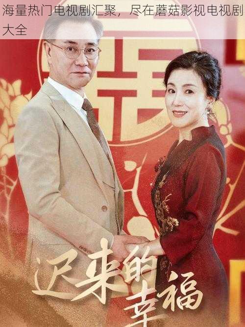 海量热门电视剧汇聚,尽在蘑菇影视电视剧大全