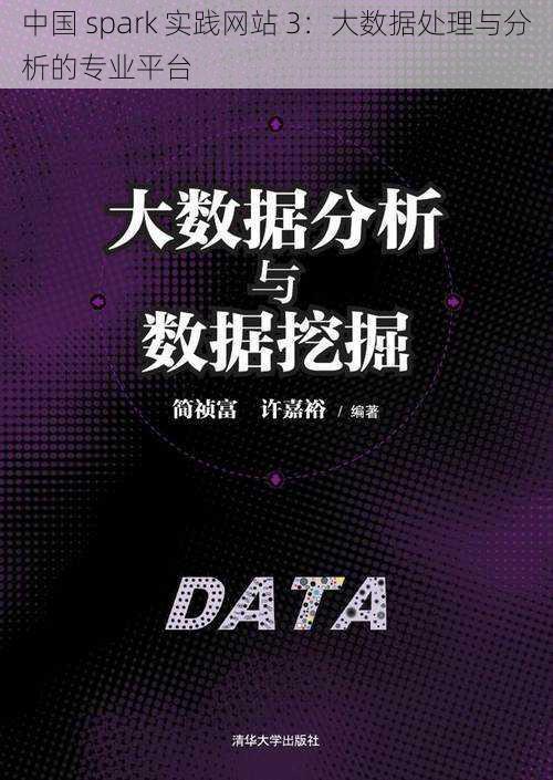 中国 spark 实践网站 3:大数据处理与分析的专业平台