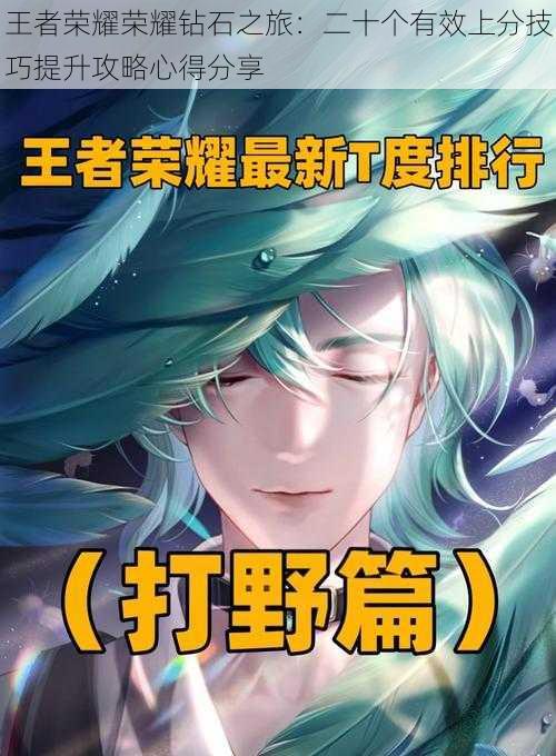 王者荣耀荣耀钻石之旅:二十个有效上分技巧提升攻略心得分享