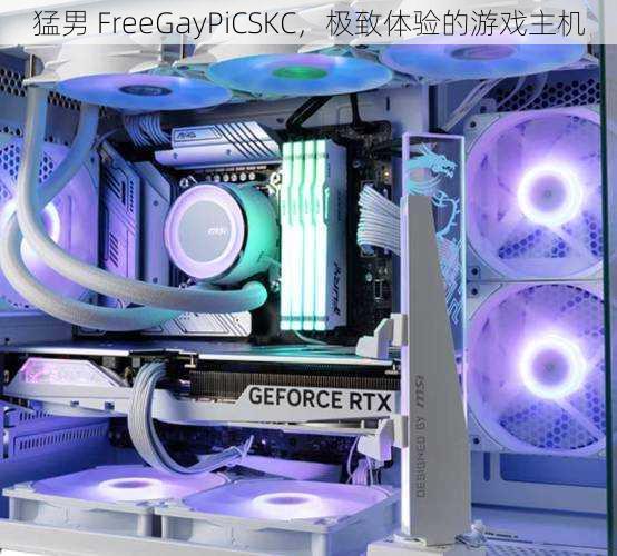 猛男 FreeGayPiCSKC,极致体验的游戏主机