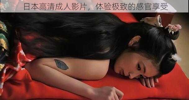 日本高清成人影片,体验极致的感官享受