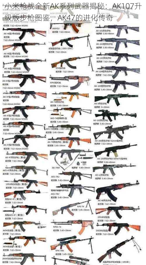 小米枪战全新AK系列武器揭秘:AK107升级版步枪图鉴,AK47的进化传奇