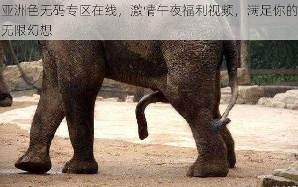 亚洲色无码专区在线,激情午夜福利视频,满足你的无限幻想
