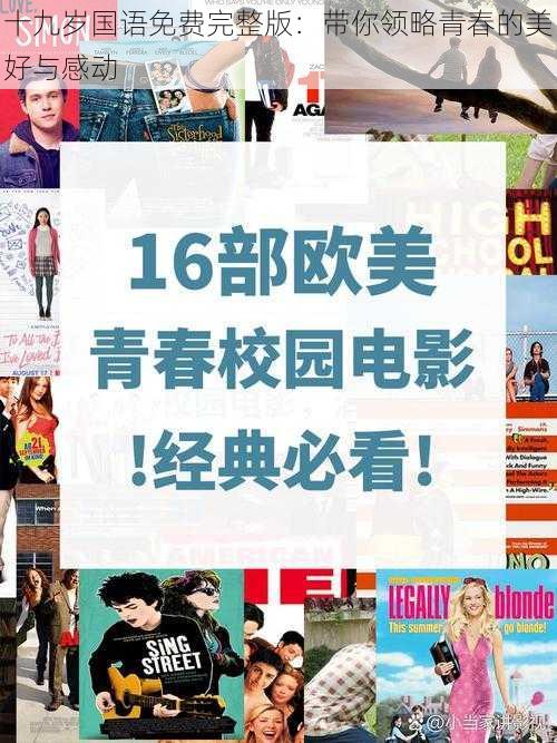 十九岁国语免费完整版:带你领略青春的美好与感动