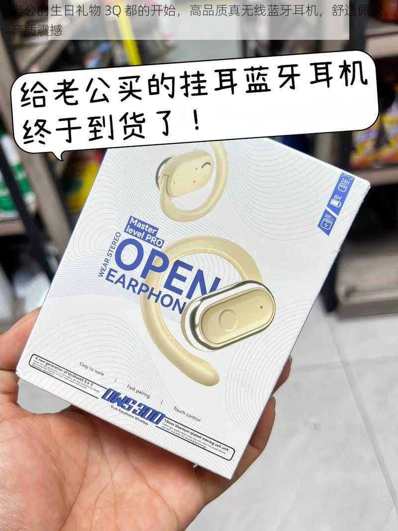 老公的生日礼物 3Q 都的开始,高品质真无线蓝牙耳机,舒适佩戴,音质震撼