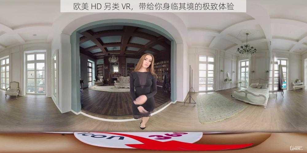 欧美 HD 另类 VR,带给你身临其境的极致体验