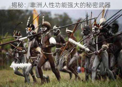 揭秘:非洲人性功能强大的秘密武器