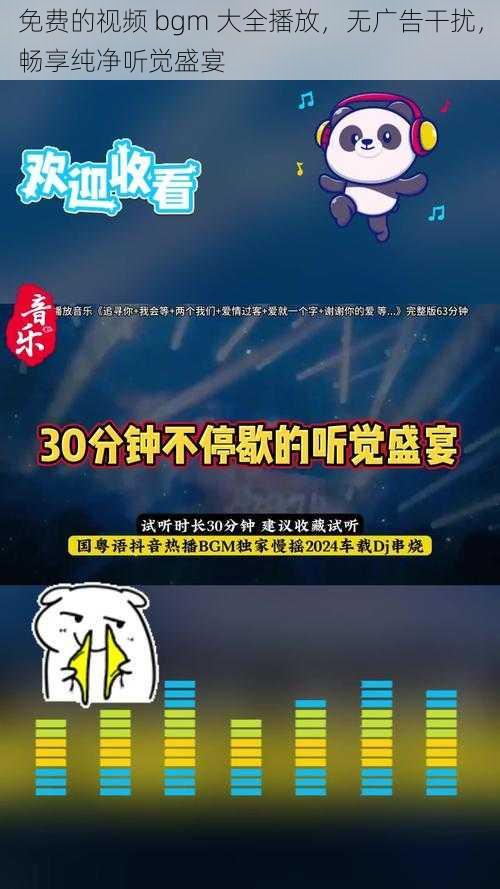 免费的视频 bgm 大全播放,无广告干扰,畅享纯净听觉盛宴