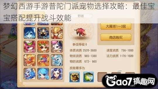 梦幻西游手游普陀门派宠物选择攻略:最佳宝宝搭配提升战斗效能