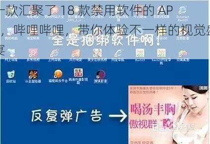 一款汇聚了 18 款禁用软件的 APP,哔哩哔哩,带你体验不一样的视觉盛宴