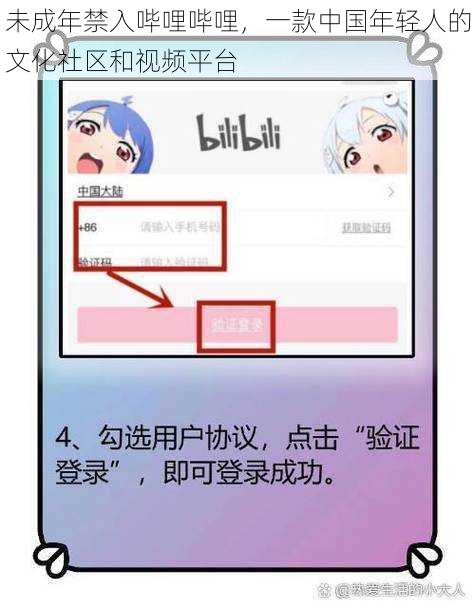 未成年禁入哔哩哔哩,一款中国年轻人的文化社区和视频平台