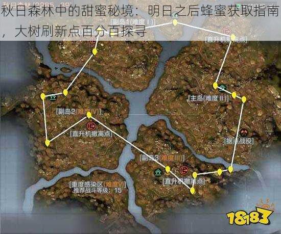 秋日森林中的甜蜜秘境:明日之后蜂蜜获取指南,大树刷新点百分百探寻