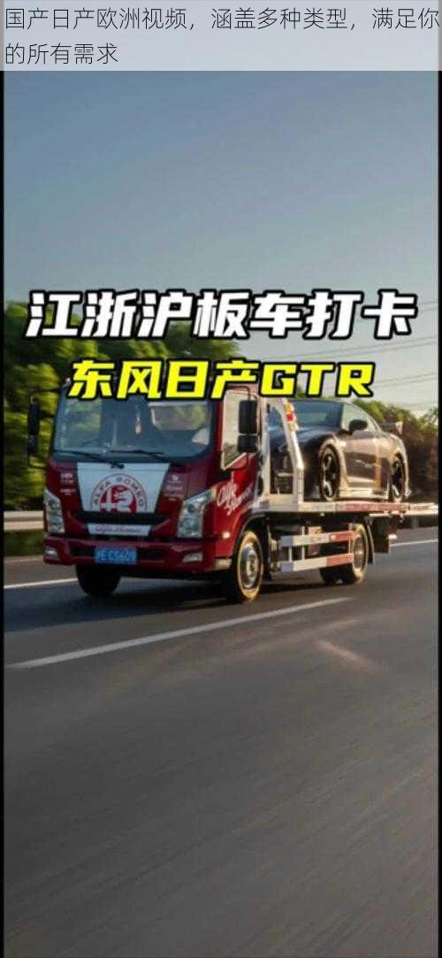 国产日产欧洲视频,涵盖多种类型,满足你的所有需求
