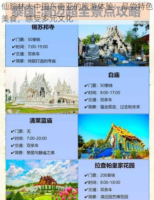 仙踪林大中国东南亚的旅游体验:品尝特色美食,感受多元文化