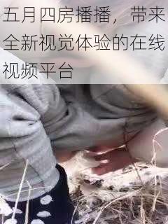 五月四房播播,带来全新视觉体验的在线视频平台