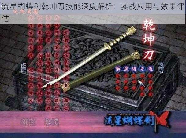 流星蝴蝶剑乾坤刀技能深度解析:实战应用与效果评估