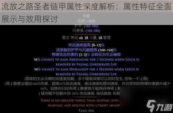 流放之路圣者链甲属性深度解析:属性特征全面展示与效用探讨
