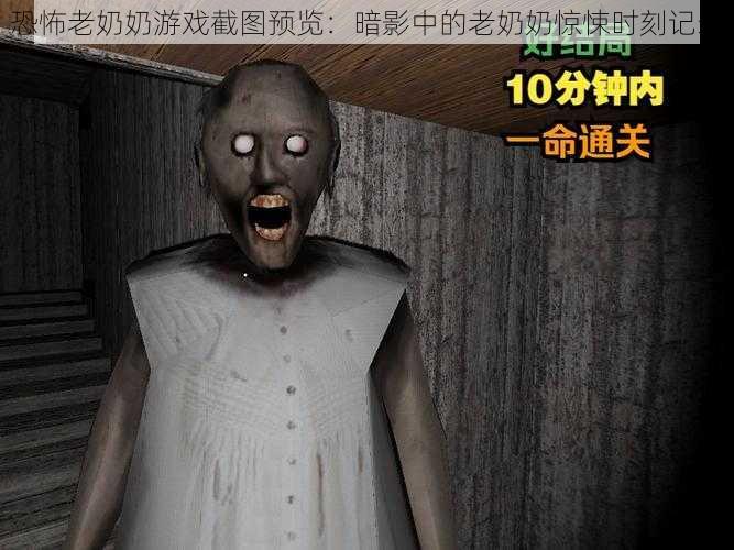 恐怖老奶奶游戏截图预览:暗影中的老奶奶惊悚时刻记录