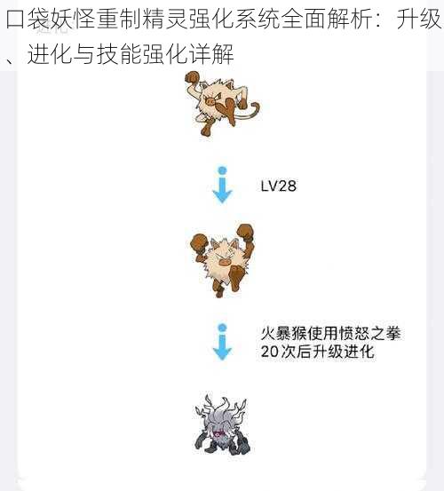 口袋妖怪重制精灵强化系统全面解析:升级、进化与技能强化详解