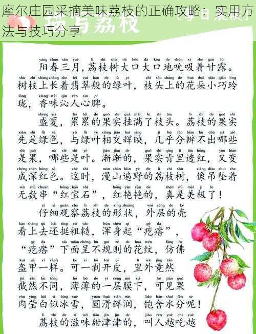 摩尔庄园采摘美味荔枝的正确攻略:实用方法与技巧分享