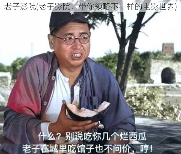 老子影院(老子影院,带你领略不一样的电影世界)