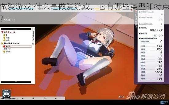 做爱游戏;什么是做爱游戏,它有哪些类型和特点?