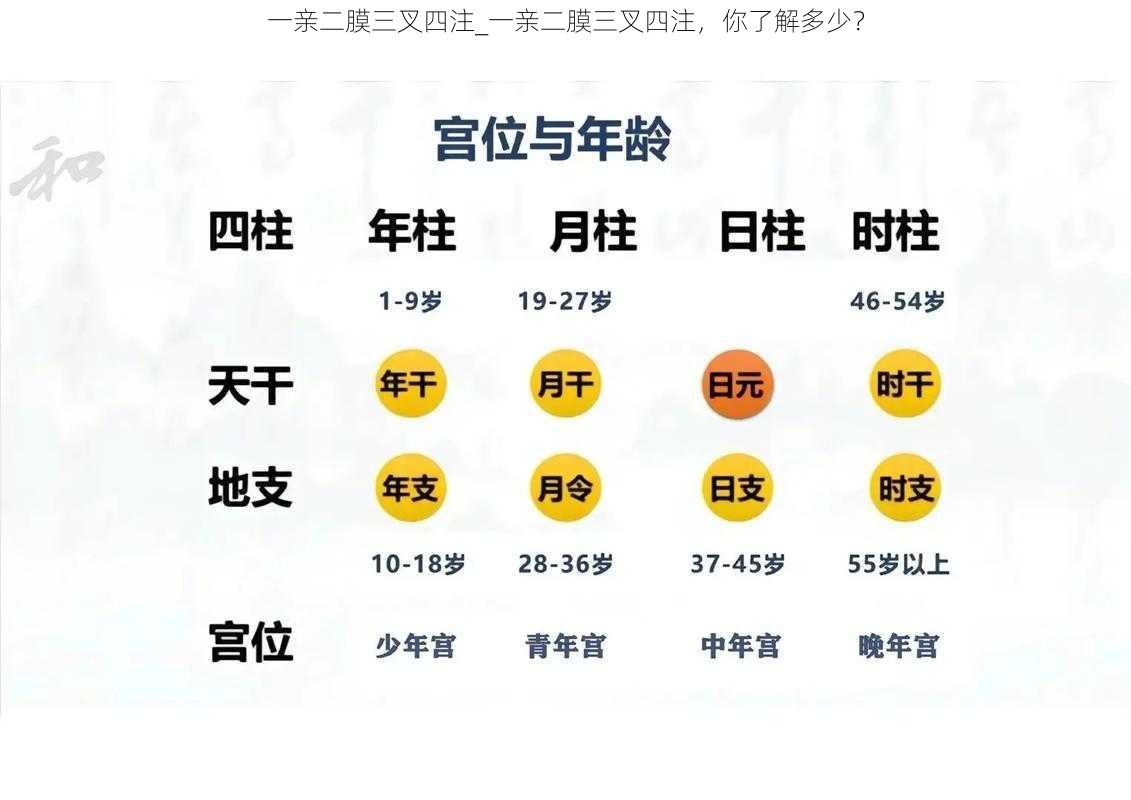 一亲二膜三叉四注_一亲二膜三叉四注,你了解多少?