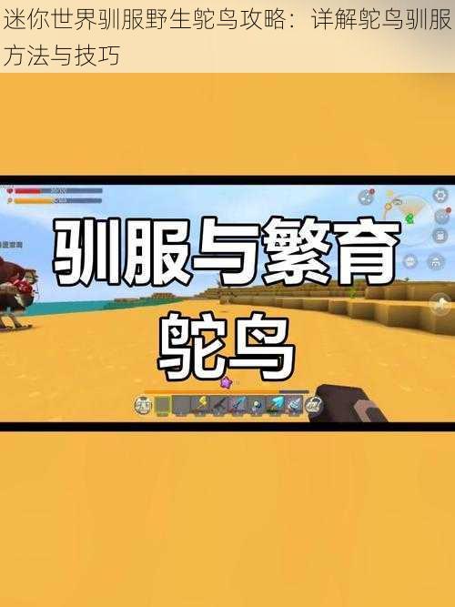 迷你世界驯服野生鸵鸟攻略:详解鸵鸟驯服方法与技巧