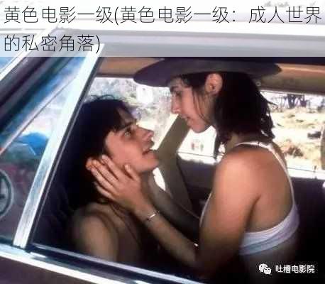黄色电影一级(黄色电影一级:成人世界的私密角落)