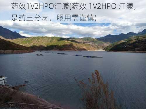 药效1V2HPO江漾(药效 1V2HPO 江漾,是药三分毒,服用需谨慎)
