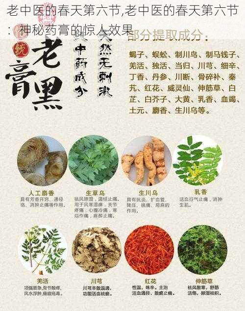 老中医的春天第六节,老中医的春天第六节:神秘药膏的惊人效果