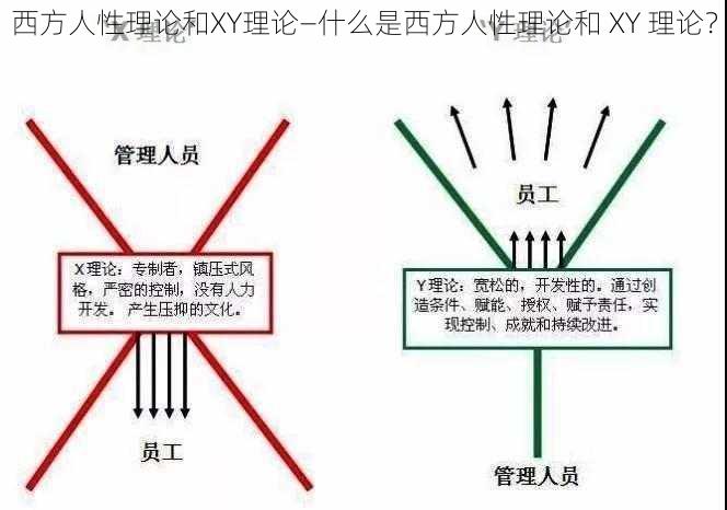 西方人性理论和XY理论—什么是西方人性理论和 XY 理论?