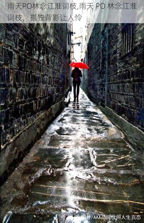 雨天PO林念江淮词枝,雨天 PO 林念江淮词枝,孤独背影让人怜