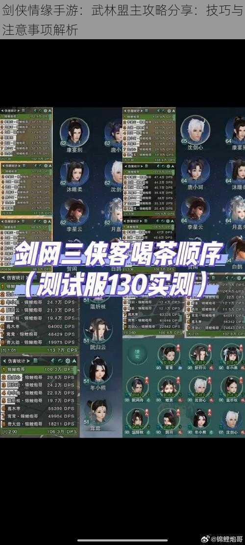 剑侠情缘手游:武林盟主攻略分享:技巧与注意事项解析