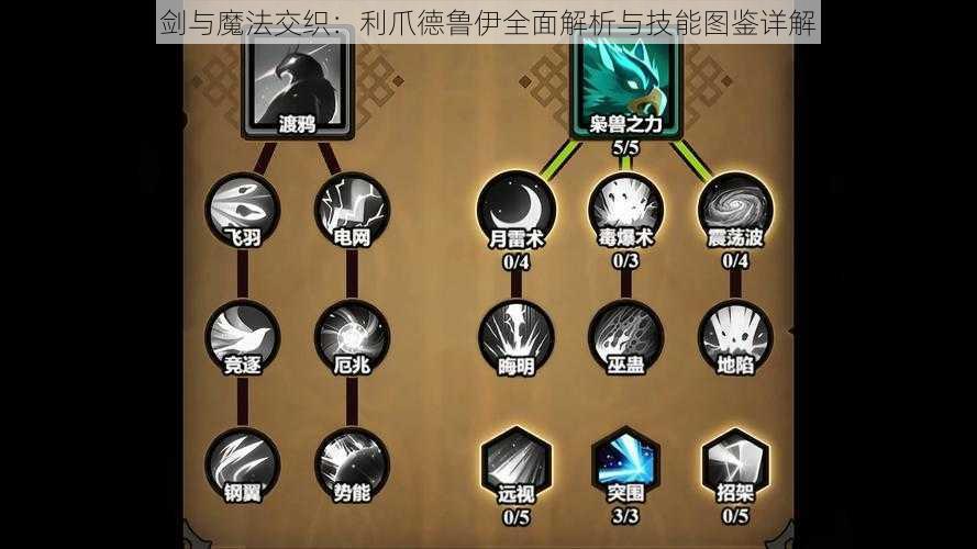 剑与魔法交织:利爪德鲁伊全面解析与技能图鉴详解
