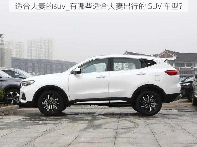 适合夫妻的suv_有哪些适合夫妻出行的 SUV 车型?