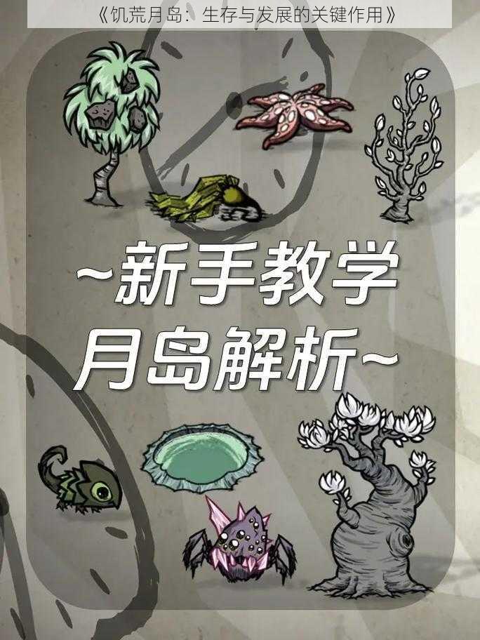 《饥荒月岛:生存与发展的关键作用》