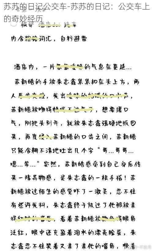 苏苏的日记公交车-苏苏的日记:公交车上的奇妙经历