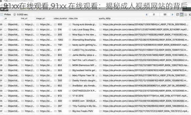 91xx在线观看,91xx 在线观看:揭秘成人视频网站的背后