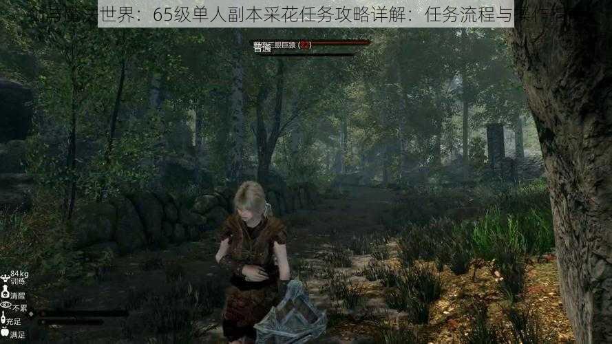 剑与魔法世界:65级单人副本采花任务攻略详解:任务流程与操作指南