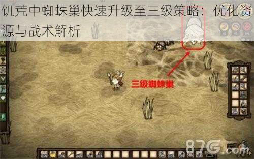 饥荒中蜘蛛巢快速升级至三级策略:优化资源与战术解析