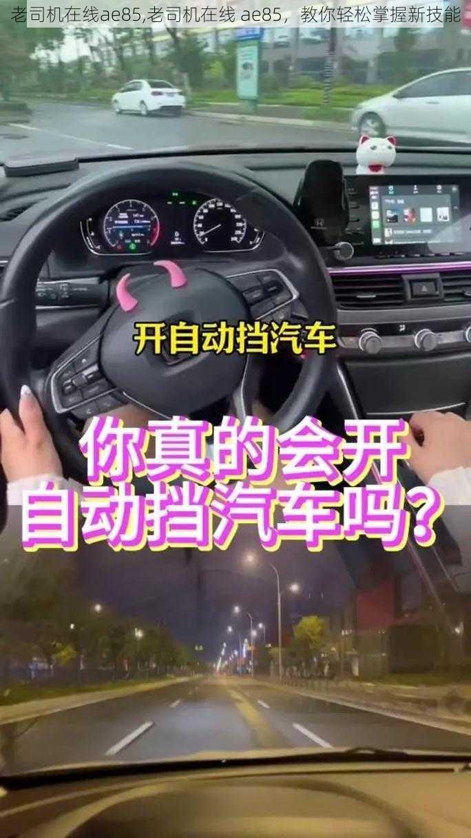 老司机在线ae85,老司机在线 ae85,教你轻松掌握新技能
