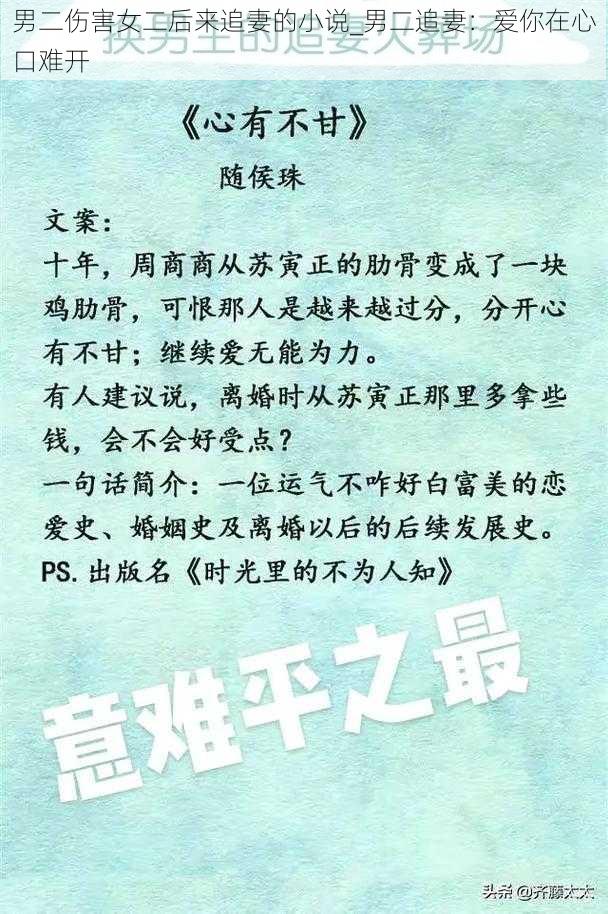 男二伤害女二后来追妻的小说_男二追妻:爱你在心口难开
